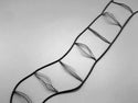 Ladder String for 25mm Venetian Blinds Slats - Different Colours - 2,000 meters - www.mydecorstore.co.uk